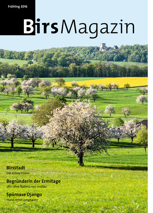birsmagazin_12016